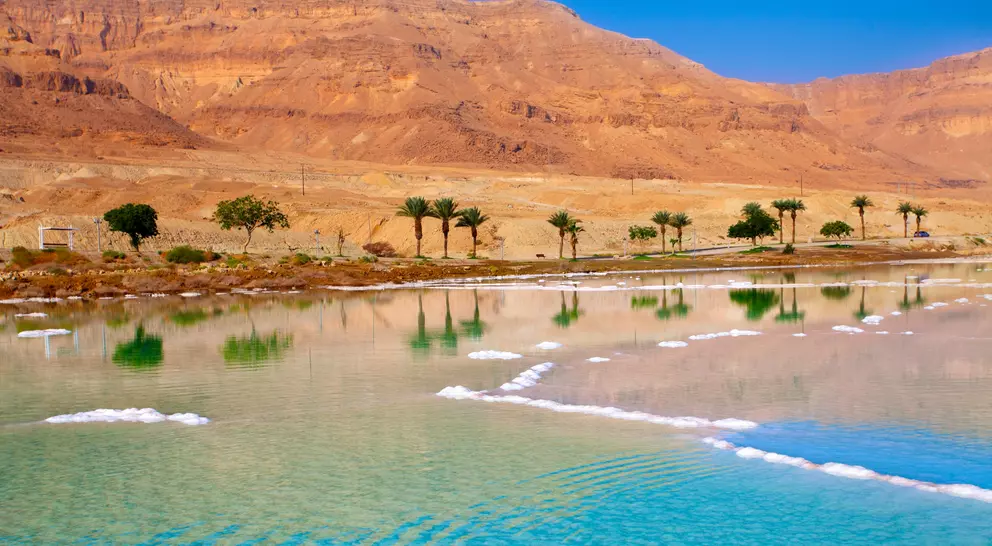 Seashore with palm trees and mountains on background