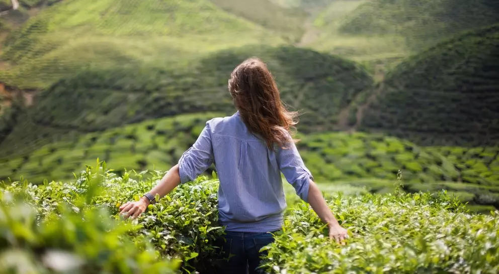 Person with long hair standing in a tea plantation, arms outstretched, facing lush green hills.