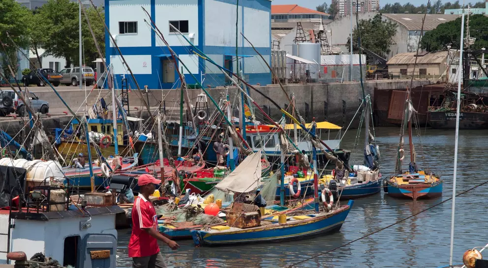 A harbor scene with colorful fishing boats, a man walking on the dock, and buildings in the background under a clear sky.
