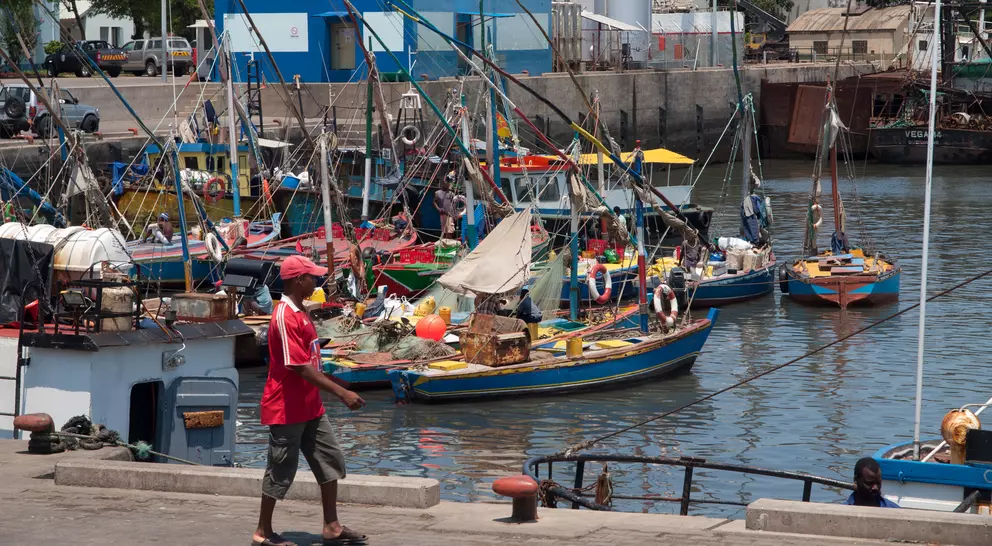 A harbor scene with colorful fishing boats, a man walking on the dock, and buildings in the background under a clear sky.