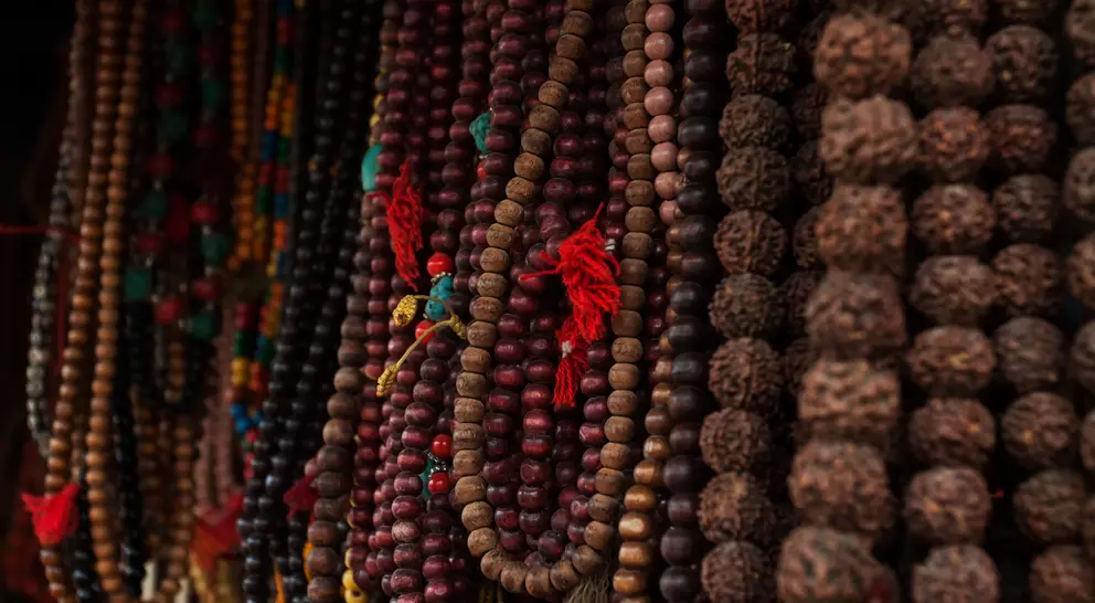 Rudraksha seed pods from broadleaf trees are strung together to form a Mala, used as prayer beads