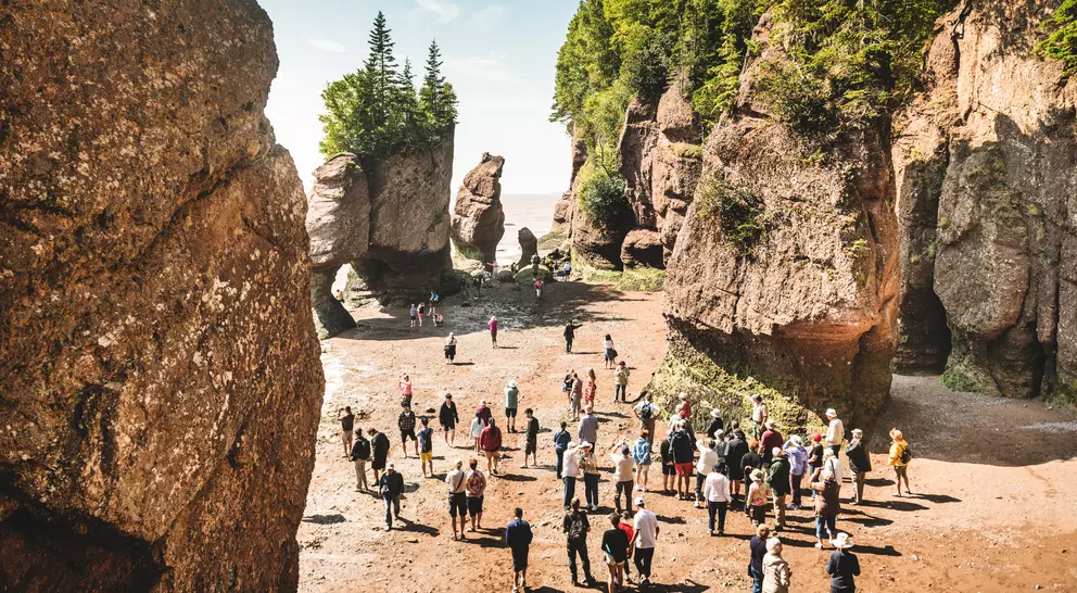A crowd of people exploring a beach surrounded by tall rock formations and trees under a clear blue sky.