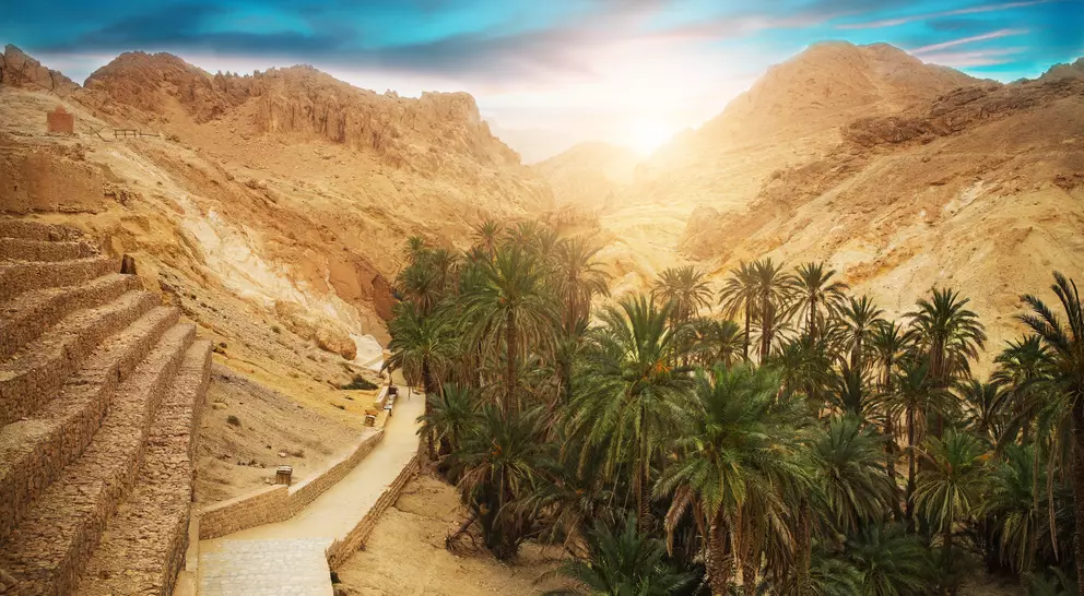 View of mountain oasis Chebika