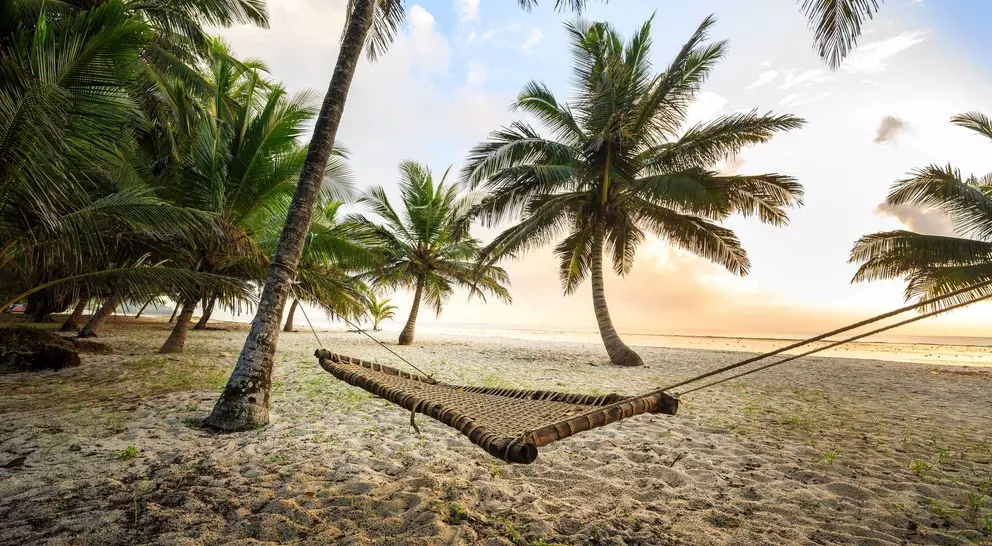 A serene beach scene with a hammock strung between palm trees, overlooking the ocean at sunrise.