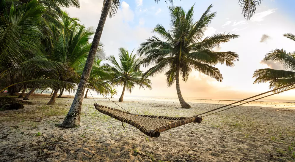 A serene beach scene with a hammock strung between palm trees, overlooking the ocean at sunrise.