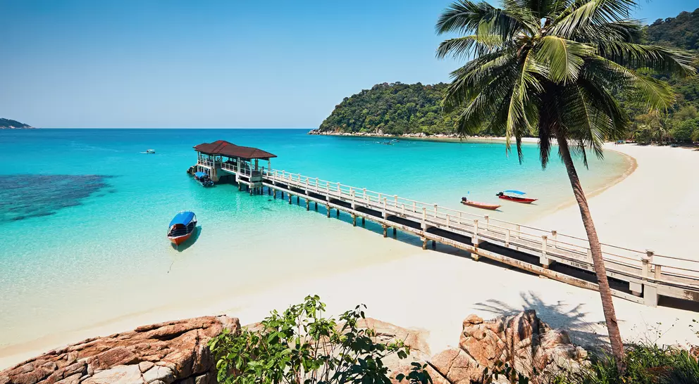 Tropical beach with clear turquoise water, a wooden pier, a palm tree, and small boats in the distance.