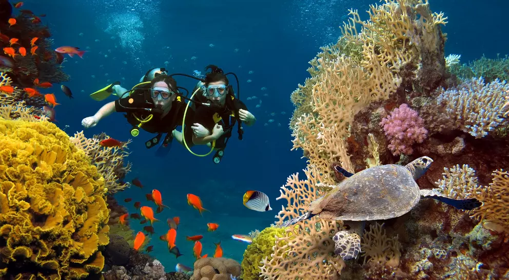 Two scuba divers explore a vibrant coral reef with colorful fish and a turtle swimming nearby.