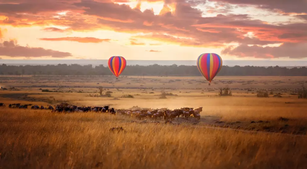 Sunrise over the Masai Mara, with a pair of low-flying hot air balloons and a herd of wildebeest below in the typical red oat grass of the region