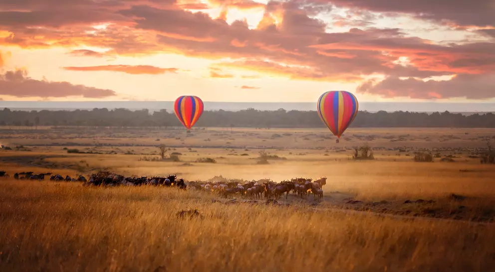 Sunrise over the Masai Mara, with a pair of low-flying hot air balloons and a herd of wildebeest below in the typical red oat grass of the region