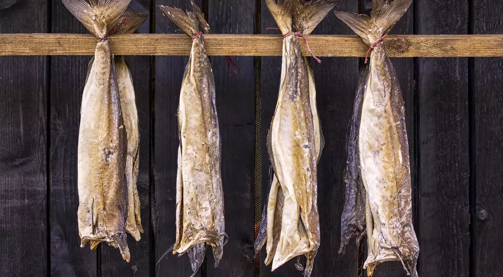 Four dried fish are hanging on a wooden rack against a dark background.