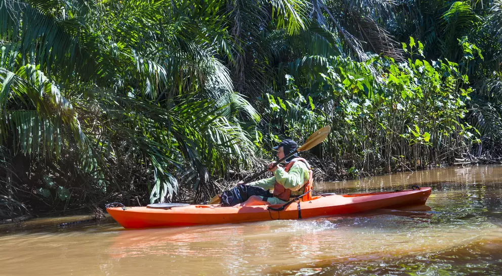 A person paddles a kayak through a lush, green river surrounded by tropical foliage.