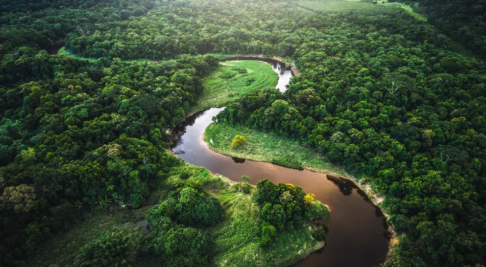 Aerial view over the treetops of the famous amazon rainforest