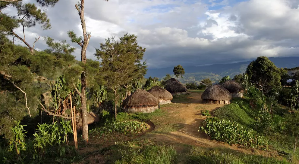 Traditional grass roof hut village in Papua New Guinea