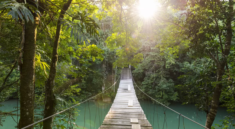 Tranquil footbridge crossing water at the 105-acre Río Blanco National Park, just west of Santa Elena village.