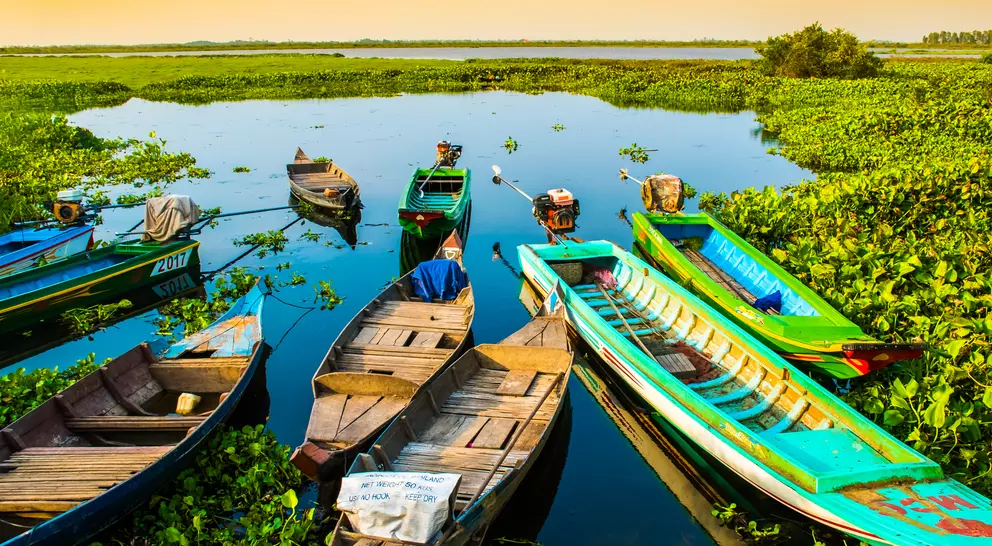 Colorful boats on lake speckled with greenery, Lotus Farm, Phnom Krom in Cambodia