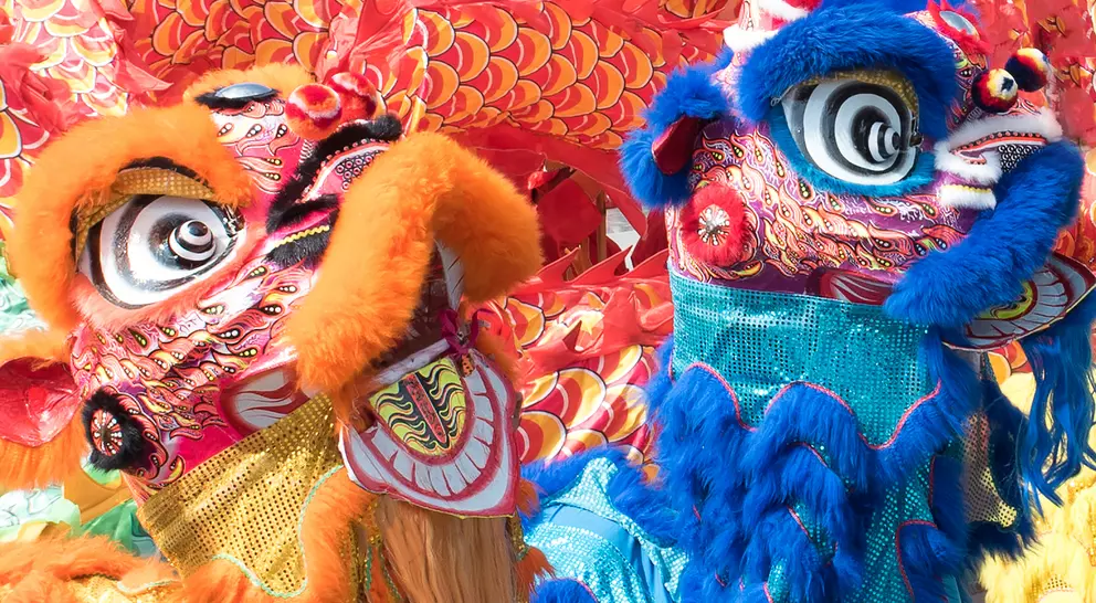 Two colorful dragon dance costumes with large expressive eyes and vibrant fur, set against a background of red and gold decorations.