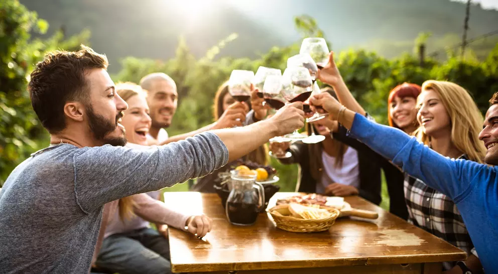 Friends celebrate outdoors, raising wine glasses for a toast around a sunny table with food, surrounded by greenery and smiles.