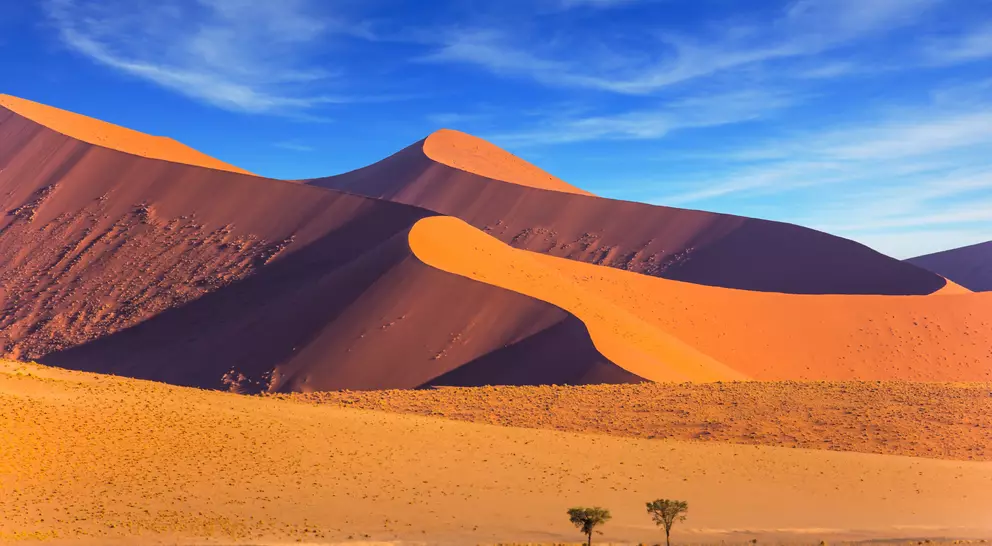 The dunes of Namib-Naukluft at sunset.