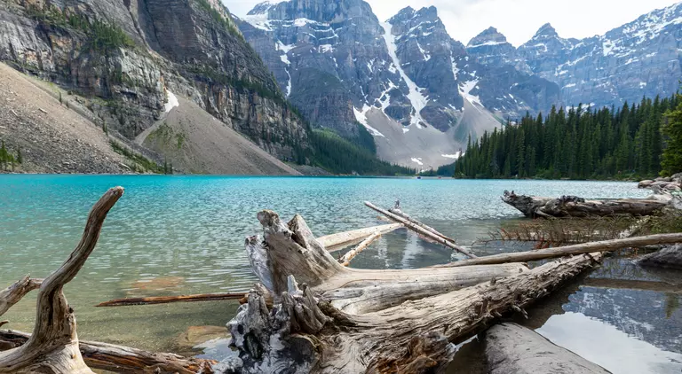 Aerial view of lake surrounded by dense trees and mountains