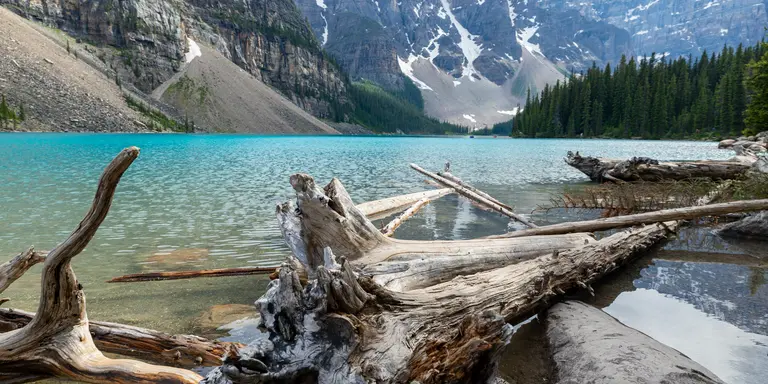 Aerial view of lake surrounded by dense trees and mountains