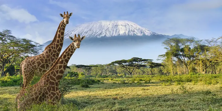Amboseli National Park