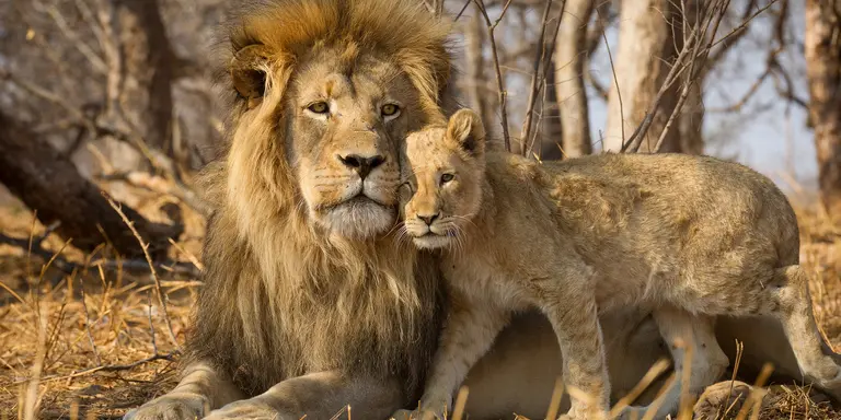Kruger National Park