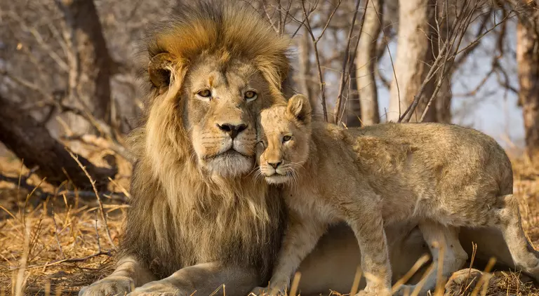 Kruger National Park