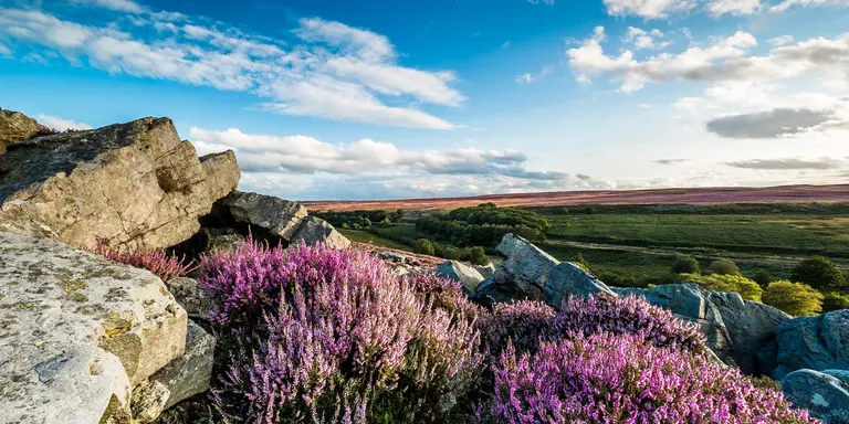 North Yorkshire Moors