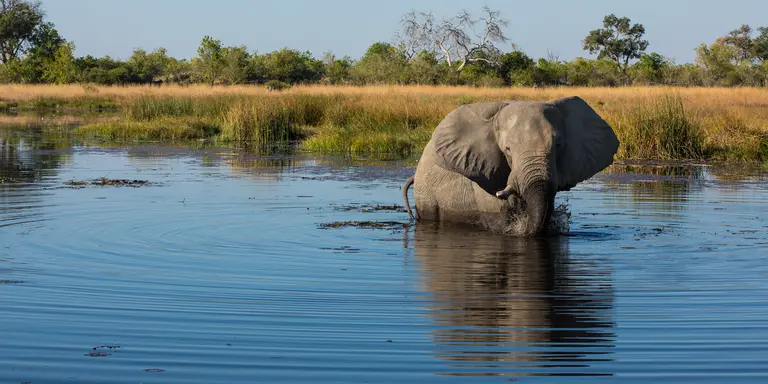 Selinda Reserve