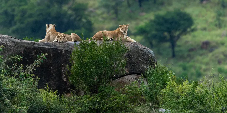 Serengeti National Park