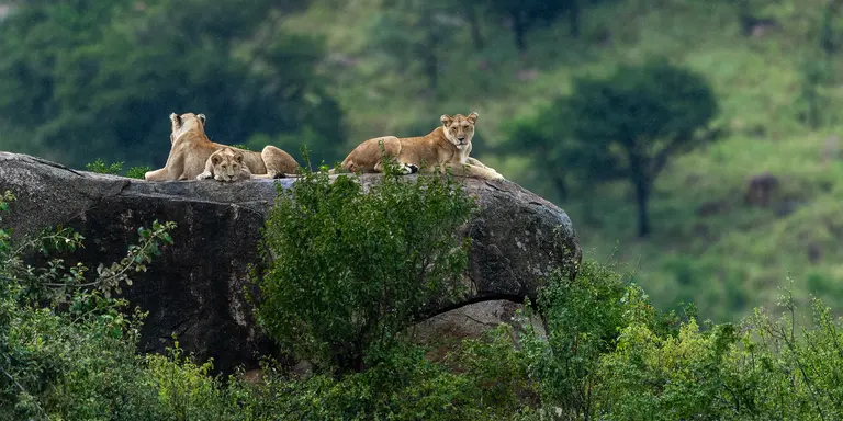 Serengeti National Park