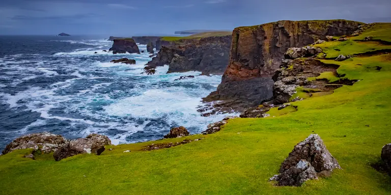 Shetlands