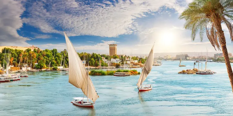 View of the Nile, feluccas and the palms, Aswan City, Egypt.