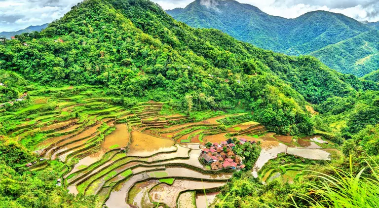 Rice Terraces with rolling mountains in the background
