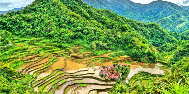 Rice Terraces with rolling mountains in the background