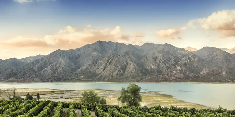 Malbec vineyard in the Andes mountain range, Mendoza province, Argentina