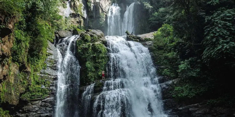 Tall beautiful waterfalls in a lush green rainforest 
