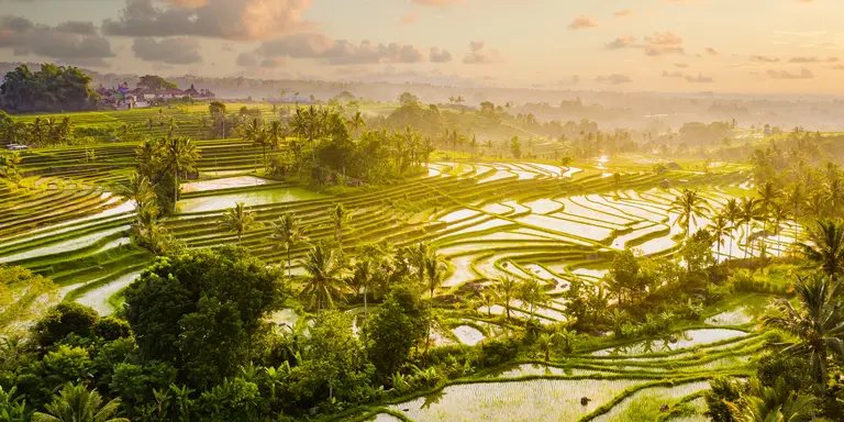 Sunrise aerial view of early morning on Jatiluwih Rice Terraces