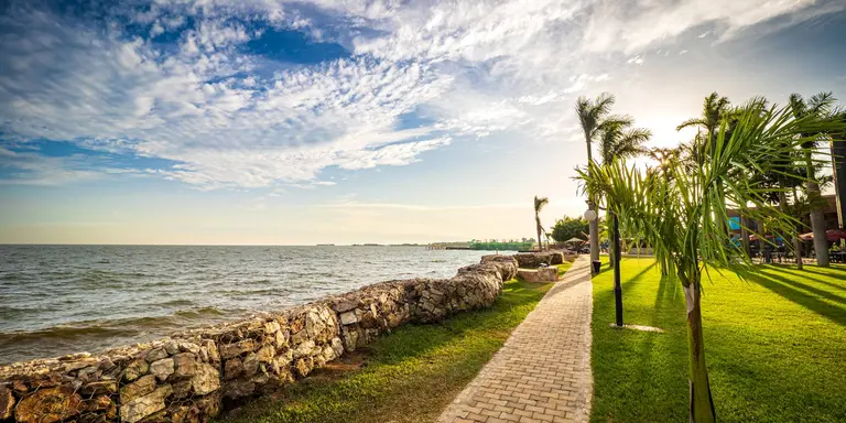 Sun setting behind tropical palm trees, drawing warm shadows on the meadow next to the shoreline of Lake Victoria. A pedestrian walkway leading the way along the shore
