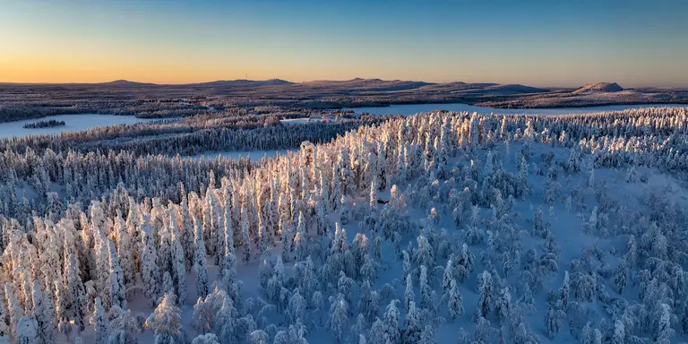 Aerial drone view above sunlit, snow covered trees on top of a hill, golden hour