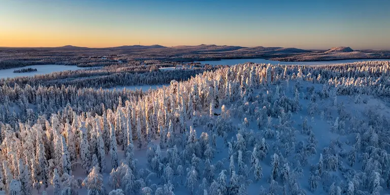 Aerial drone view above sunlit, snow covered trees on top of a hill, golden hour