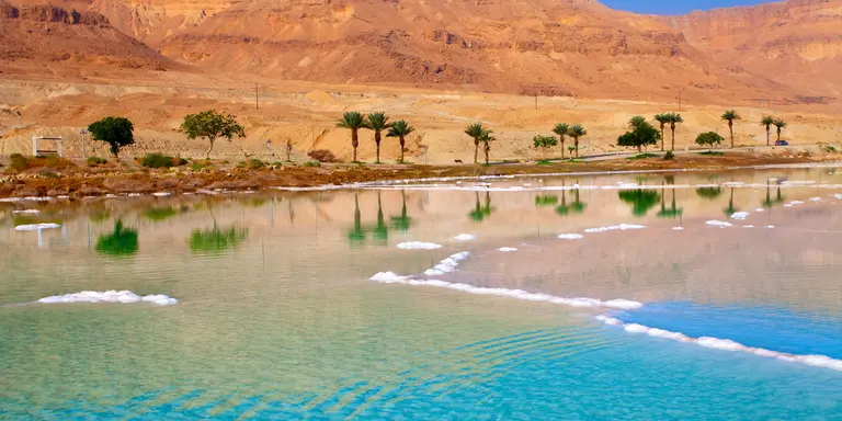 Seashore with palm trees and mountains on background