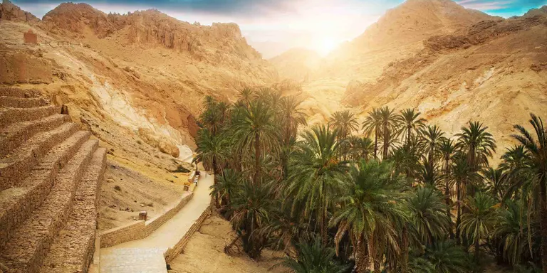 View of mountain oasis Chebika