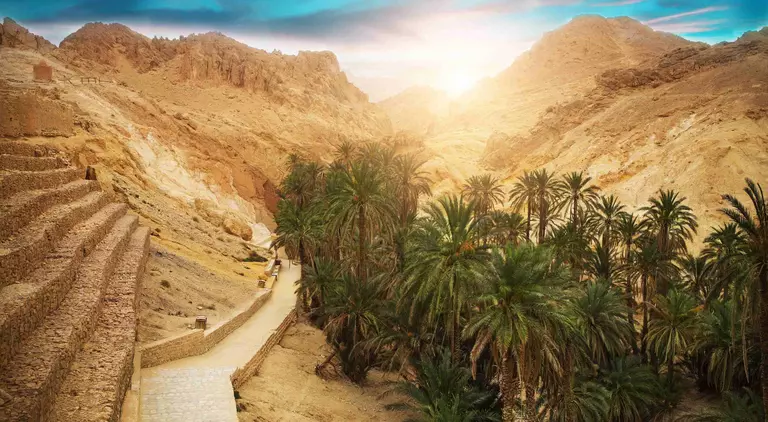 View of mountain oasis Chebika