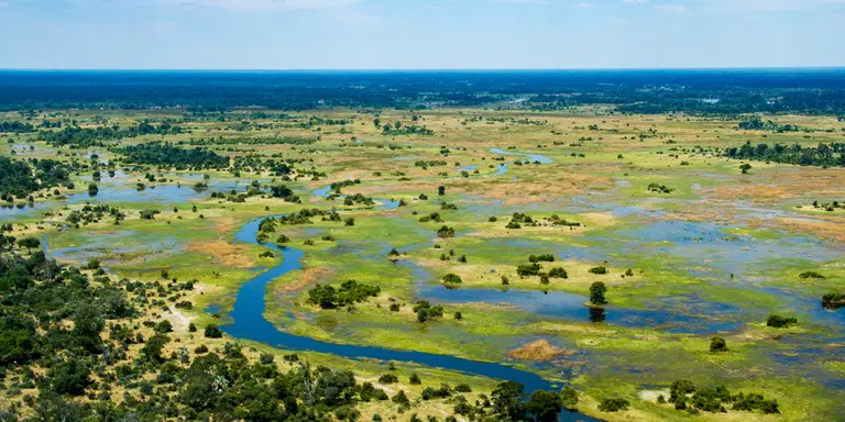 The Okavango Delta in Botswana is a very large, swampy inland delta formed where the Okavango River reaches a tectonic trough in the central part of the endorheic basin of the Kalahari.
