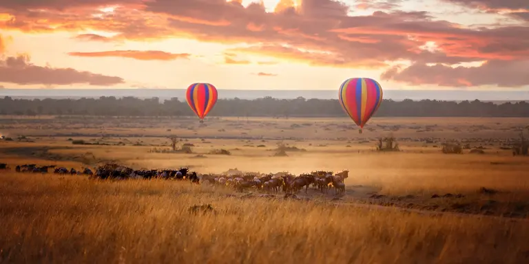 Sunrise over the Masai Mara, with a pair of low-flying hot air balloons and a herd of wildebeest below in the typical red oat grass of the region