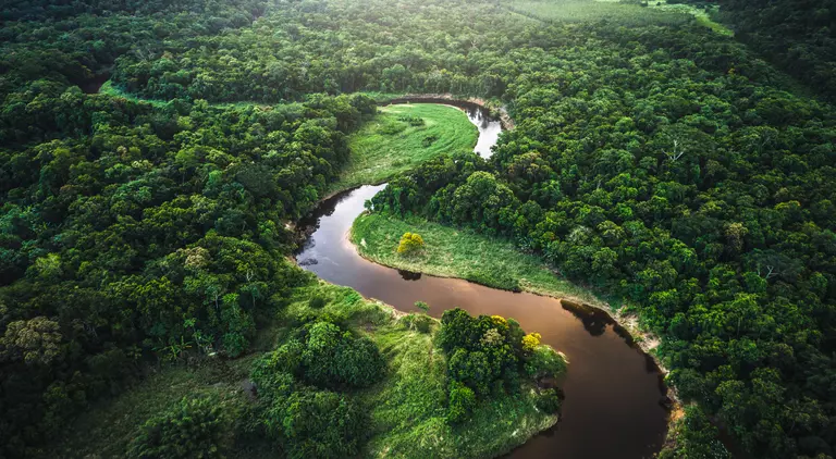 Aerial view over the treetops of the famous amazon rainforest