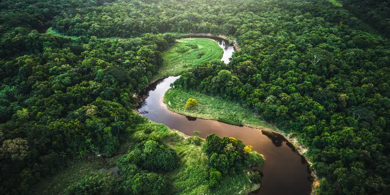 Aerial view over the treetops of the famous amazon rainforest