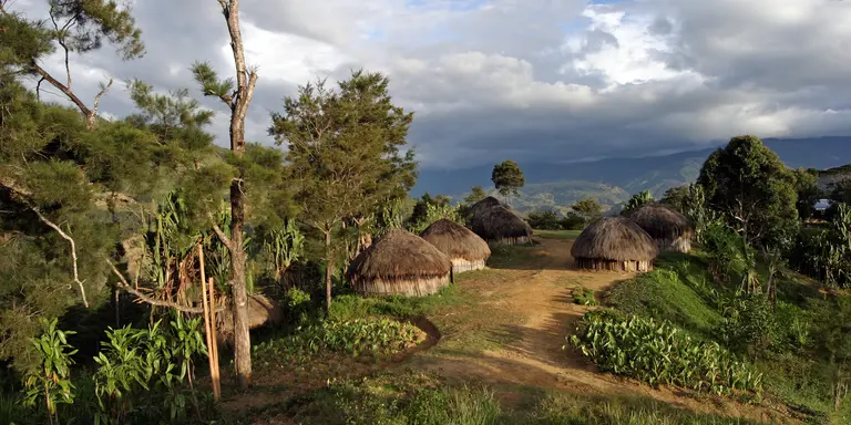 Traditional grass roof hut village in Papua New Guinea