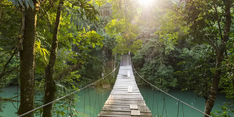 Tranquil footbridge crossing water at the 105-acre Río Blanco National Park, just west of Santa Elena village.